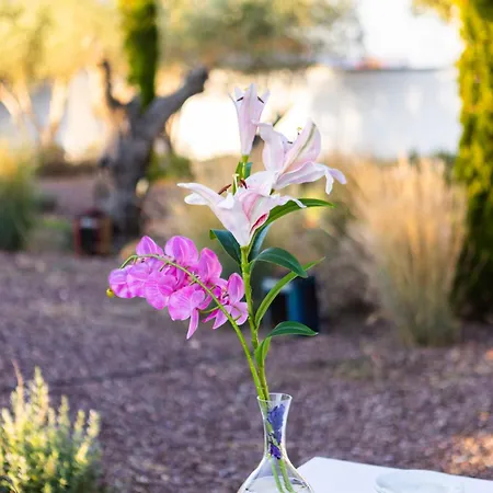 Shenonkop Rural 4* Navalmoral De La Mata