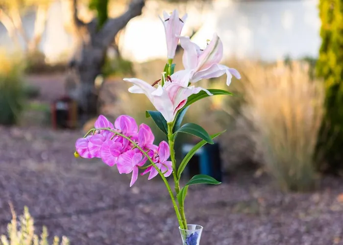 Shenonkop Rural 4* Navalmoral De La Mata