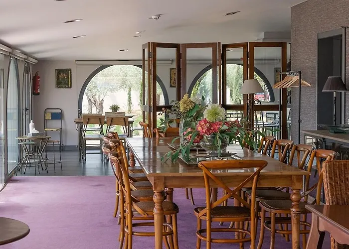 Shenonkop Rural Navalmoral De La Mata